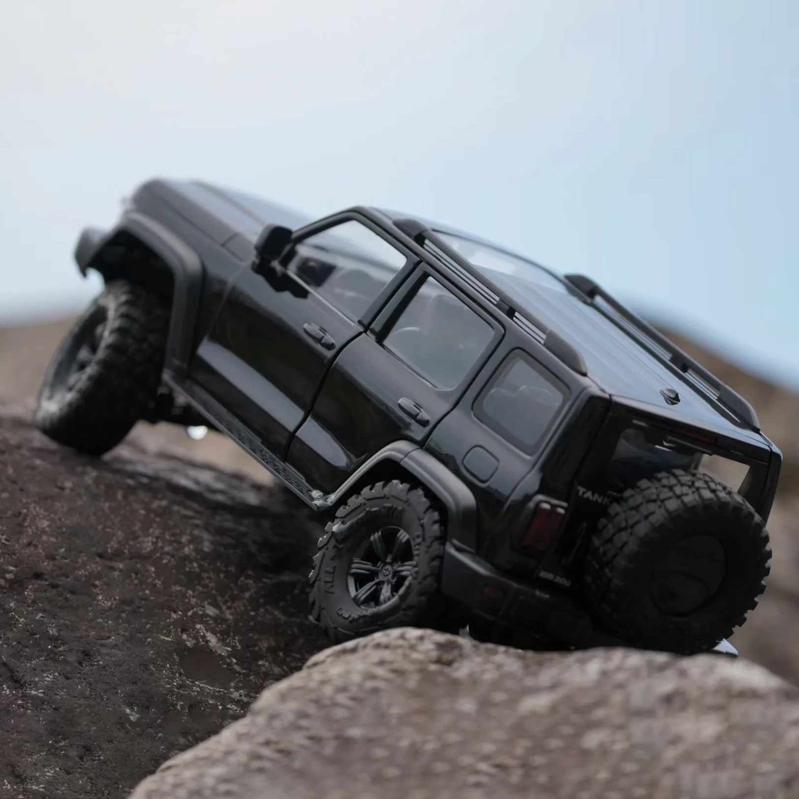 Pro Version 1/24 Scale RC Off-Road Mini Climber Remote Control Vehicles 